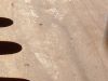 Filename=sanding_makrs_4.jpg
Filesize=161KiB
Dimensions=640x480
Date added=Jun 23, 2006 sanding_makrs_4.jpg