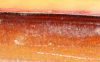 Filename=58_laminations.jpg
Filesize=342KiB
Dimensions=764x480
Date added=Jun 13, 2008 58_laminations.jpg