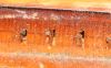 60_laminations.jpg
