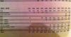 Filename=EBTotals2.jpg
Filesize=185KiB
Dimensions=763x401
Date added=Jul 26, 2011 EBTotals2.jpg