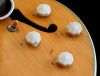 EpiKnobs.jpg