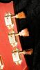 Filename=1959_Gibson_ES_345_013.JPG
Filesize=370KiB
Dimensions=1206x2048
Date added=Oct 03, 2007 1959_Gibson_ES_345_013.JPG
