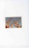 Filename=FlyingV(edit2).jpg
Filesize=99KiB
Dimensions=964x1600
Date added=May 06, 2008 FlyingV(edit2).jpg