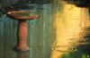 Filename=Rain_114.JPG
Filesize=596KiB
Dimensions=1900x1243
Date added=Jun 22, 2008 Rain_114.JPG