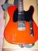 Filename=Chambered_tele_4.jpg
Filesize=224KiB
Dimensions=480x640
Date added=Oct 17, 2006 Chambered_tele_4.jpg