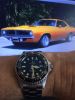 Filename=SteinhartOVM1MineCuda.JPG
Filesize=305KiB
Dimensions=1224x1632
Date added=Apr 12, 2018 SteinhartOVM1MineCuda.JPG