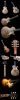 Filename=Less_Tall_Collage_2.jpg
Filesize=105KiB
Dimensions=430x2048
Date added=Nov 07, 2006 Less_Tall_Collage_2.jpg