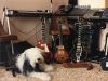 Filename=guitars.jpg
Filesize=677KiB
Dimensions=834x632
Date added=Jul 04, 2007 guitars.jpg