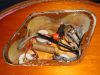 Filename=DSC01543.JPG
Filesize=1290KiB
Dimensions=2048x1536
Date added=May 22, 2012 DSC01543.JPG
