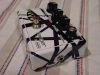 Filename=evh1.JPG
Filesize=577KiB
Dimensions=1280x960
Date added=Dec 02, 2013 evh1.JPG