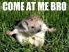 Filename=comeatme~0.jpg
Filesize=75KiB
Dimensions=600x450
Date added=Nov 11, 2014 comeatme~0.jpg